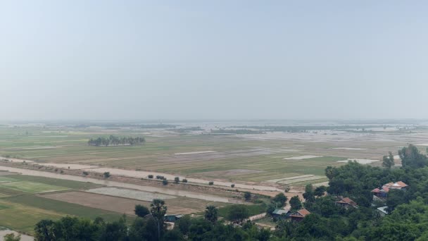 乡村景观和水的稻田中的背景 — 图库视频影像