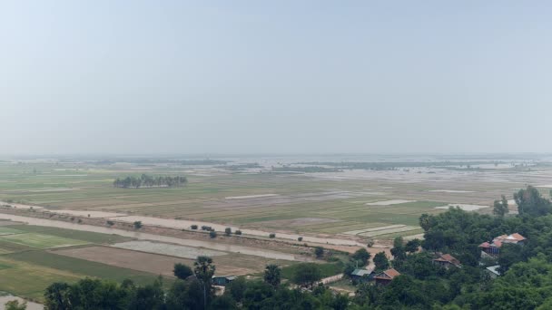 Paisaje rural y arrozales inundados en el fondo — Vídeos de Stock