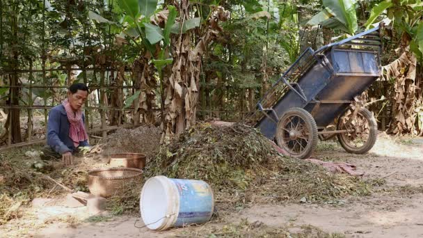 Farmář, sedět se zkříženýma nohama na zemi dvoře a stáhl oříšky sklizené rostliny — Stock video