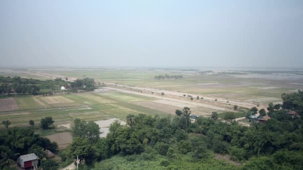 Paisaje rural y arrozales inundados en el fondo — Vídeos de Stock