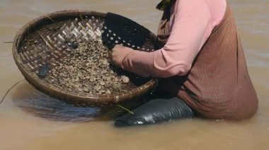 İstiridye bambu sepet dışarı sıralama ve krama bez tutarak kadın