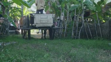 Bir boş öküz arabası bir çiftlik avlusu dışında riding çiftçi