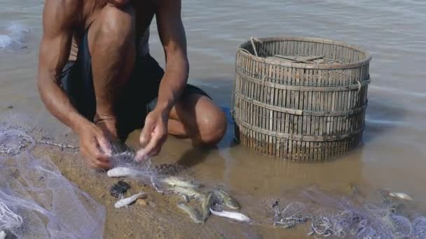 Pêcheur enlever les prises de poissons enchevêtrés et le garder dans un panier en bambou — Video