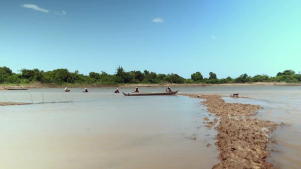 Vue à distance des femmes creusant des palourdes à la main dans l'eau boueuse du lac — Video