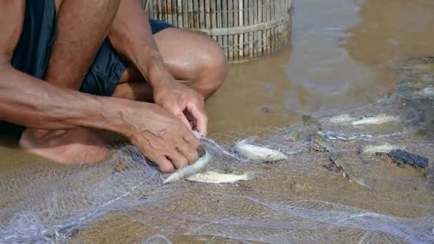 Pêcheur enlever les prises de poissons enchevêtrés et le garder dans un panier en bambou — Video