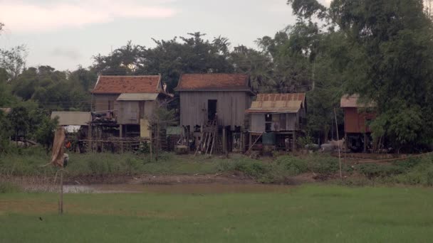 Τυπικό Νοτιοανατολικής Ασίας χωριό με ξύλινα ξυλοπόδαρο σπίτια — Αρχείο Βίντεο