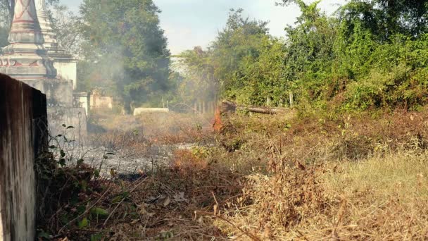 Burning off brush and pasture land — Stock Video