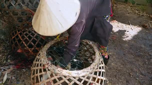 Фермер вбиває курей за їжу і тримає їх у бамбукових клітках — стокове відео