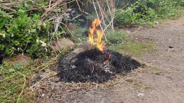 Yaprakları, çim ve diğer doğal bitki örtüsü gibi bahçesinde atık yakma — Stok video