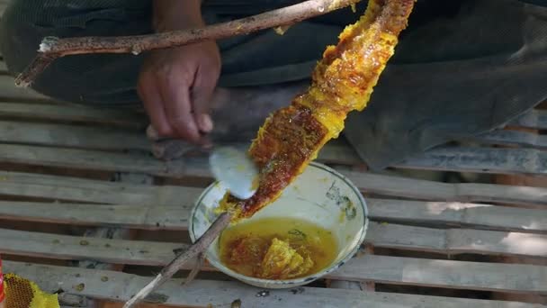 Close-up on scratching honey from wax using a spoon and a small bowl — Stock video