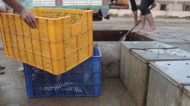 Canlı metal Balık tutma kutuları bir el net kullanarak plastik kasalar için balıklar transferi
