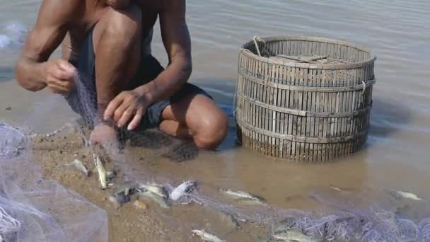 Kampong - Cambogia - 03-09 - 2015: Pescatore che rimuove la cattura di pesci impigliati e la tiene nel cesto di bambù — Video Stock