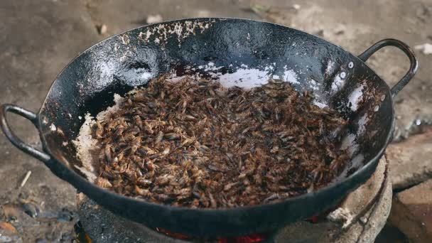 Friterade gräshoppor i wok matlagning (närbild) — Stockvideo