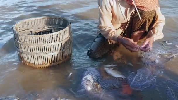 Fisher kvinna att ta bort insnärjd fisk fångst och hålla det i bambu korg — Stockvideo