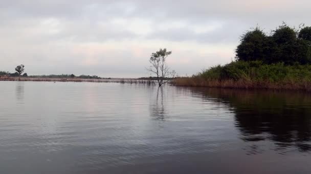 petit bateau à moteur lors d'une balade sur un lac à travers la végétation émergente 