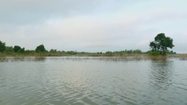 Pequeña lancha durante un paseo en un lago a través de la vegetación emergente — Vídeos de Stock