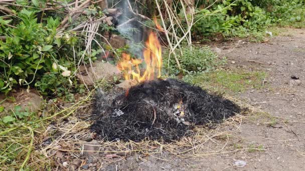 院子里的废物，如树叶、 草和其他天然植被燃烧 — 图库视频影像