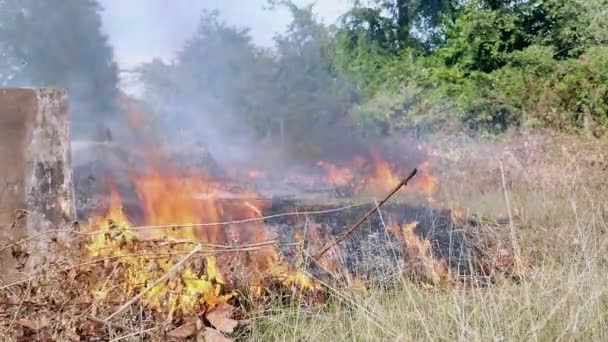 烧掉刷和牧场的土地 — 图库视频影像