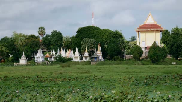 Lotus ve pagoda içinde belgili tanımlık geçmiş — Stok video
