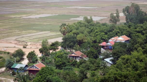 Néhány ház között trópusi növényzet, és az elárasztott rizsföldeken a háttérben — Stock videók