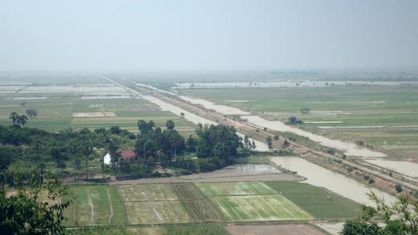 Rural landscape and flooded paddy fields — Stock Video