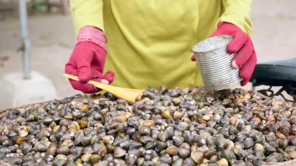 Porsiyon büyüklüğü ölçmek için sokak deniz tarağı satıcı istiridye bir teneke kutu içinde bambu kaşıkla koyarak. — Stok video