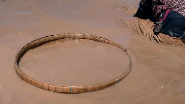 Vrouw graven voor kokkels in de rivier-bodem met een bamboe mandje onderdompelen in het water naast haar — Stockvideo