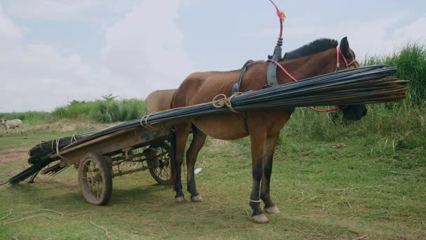 Çelik çubuklar ile yüklenen sabit at arabası — Stok video