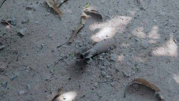 关闭地面上的未爆弹药迫击炮 — 图库视频影像