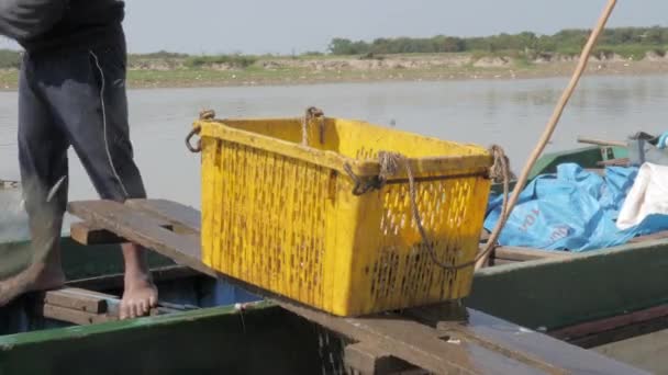 Primer Plano Pescador Puso Peces Frescos Capturados Cesta Plástico — Vídeo de stock