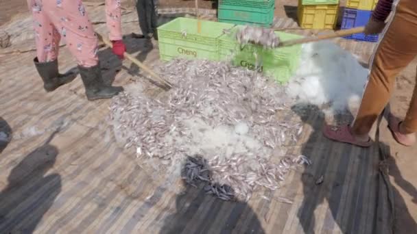 Trabalhadores Enchendo Peixes Gelados Com Sal Cestas Close — Vídeo de Stock