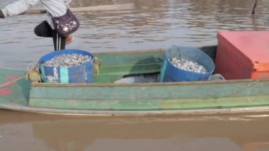 Nehir kıyısından ayrılan taze balıklarla dolu teknenin yakınında.