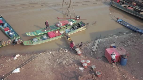 Drone Shot Fisher Unloading Fresh Fishes His Small Boat His — Vídeo de stock