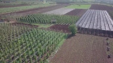 Kara biber tarlasının üstü örtülü bir kısmının hava kayması görüntüsü.