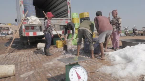 Grupo Trabajadores Que Pesan Descargan Pescado Fresco Capturado Suelo — Vídeo de stock