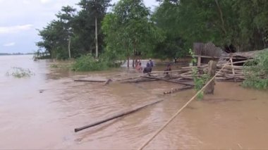 Su basmış bir depoya bambu direkleri boşaltan işçiler.