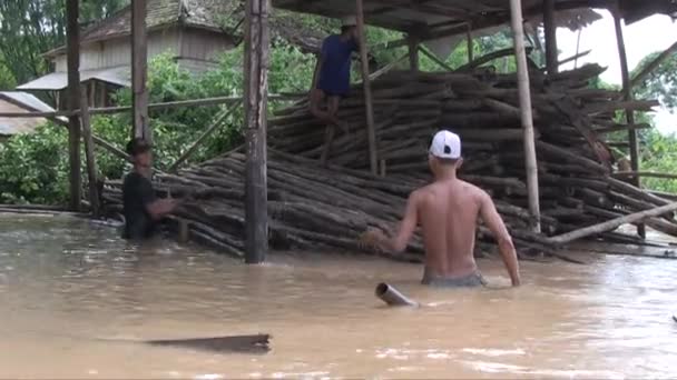 Κλείσιμο Των Εργαζομένων Που Εκφορτώνουν Στύλους Μπαμπού Από Πλημμυρισμένη Αποθήκη — Αρχείο Βίντεο