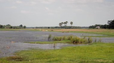 Flooded green fields and farming in the background
