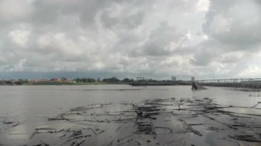 close up of debris of bamboo floating at the edge of the river.  The bamboo bridge had broken and separated because of the river swelling during the monsoon 