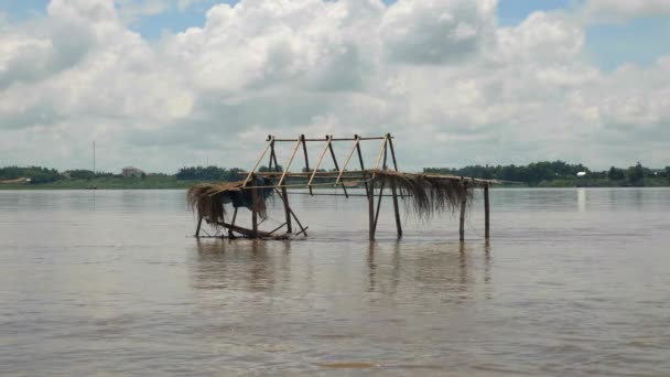 Small Bamboo Hut Surrounded Flood Water Close — Vídeo de stock