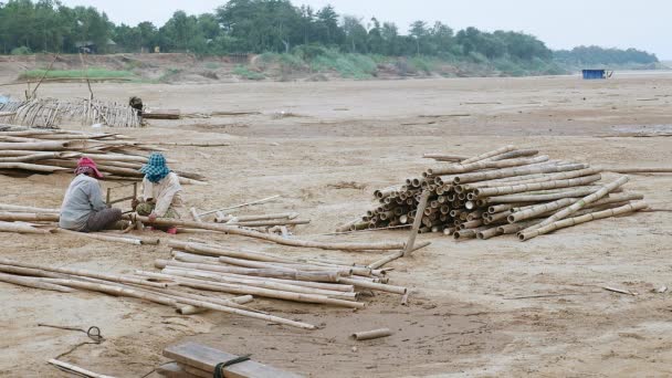 Frauen Sägen Bambusstangen Und Stapeln Sie Flussufer — Stockvideo