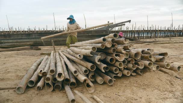 Женщины Складывают Бамбуковые Столбы Песчаном Берегу — стоковое видео