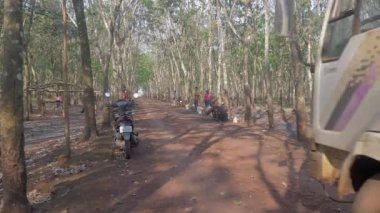 Lateks özsuyuyla dolu küçük bir tank kamyonu çiftçilerden almaya gelmiş. 