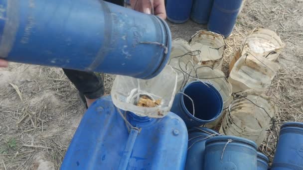 Close Toddy Tapper Pouring Freshly Harvested Palm Sap Plastic Jerrycan — Vídeo de Stock