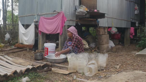 Woman Cleaning Empty Plastic Containers Collecting Palm Juice — Αρχείο Βίντεο