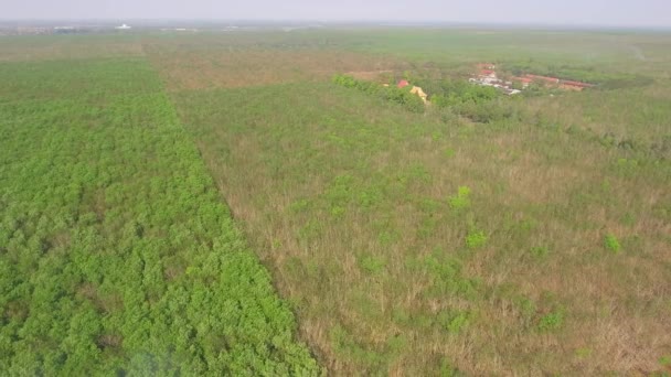 Pousse Aérienne Coulissante Des Champs Caoutchouc Pendant Saison Sèche — Video