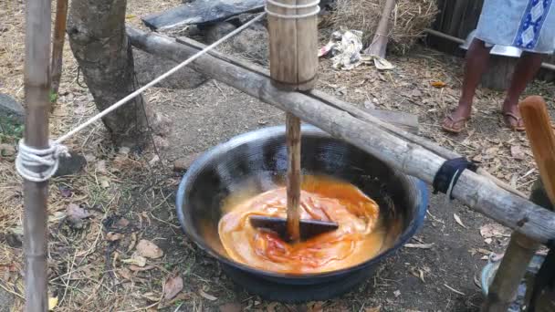 Palmiye Şekeri Yapıyorum Tahtadan Yapılan Tür Bir Çalkantı Palmiye Şekerinin — Stok video