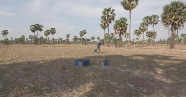 Drone Shot Toddy Tapper Bring Back Plastic Containers Filled Palm — Vídeos de Stock