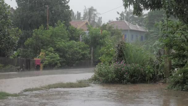 Torrential Rains Falling Small Road Rainy Season House Backdrop — Stock Video