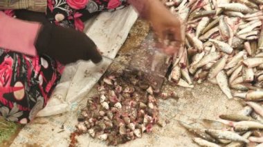  Bir kasap bıçağıyla yere bir yuvarlak ahşap tahta üzerinde küçük balıklar kafa keserek kadın (yakın )